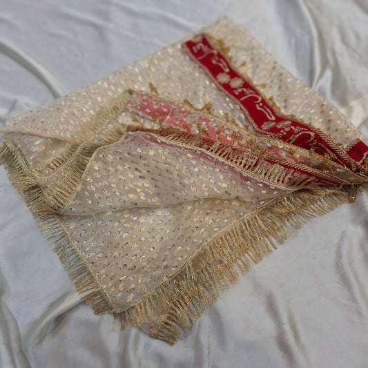 Eternal Glow Nikkah duppata